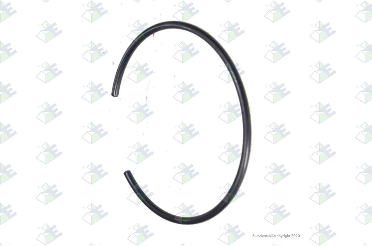 RETAINER RING suitable to EUROTEC 12000547