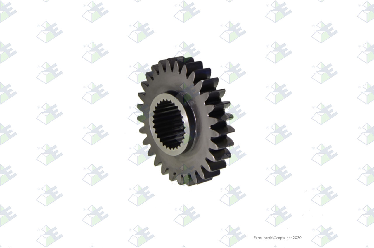GEAR 29 T. suitable to EUROTEC 12001243