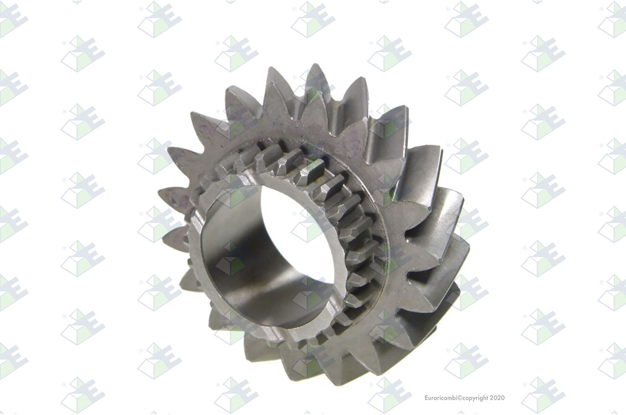 GEAR 4TH SPEED 19 T. suitable to AM GEARS 66973
