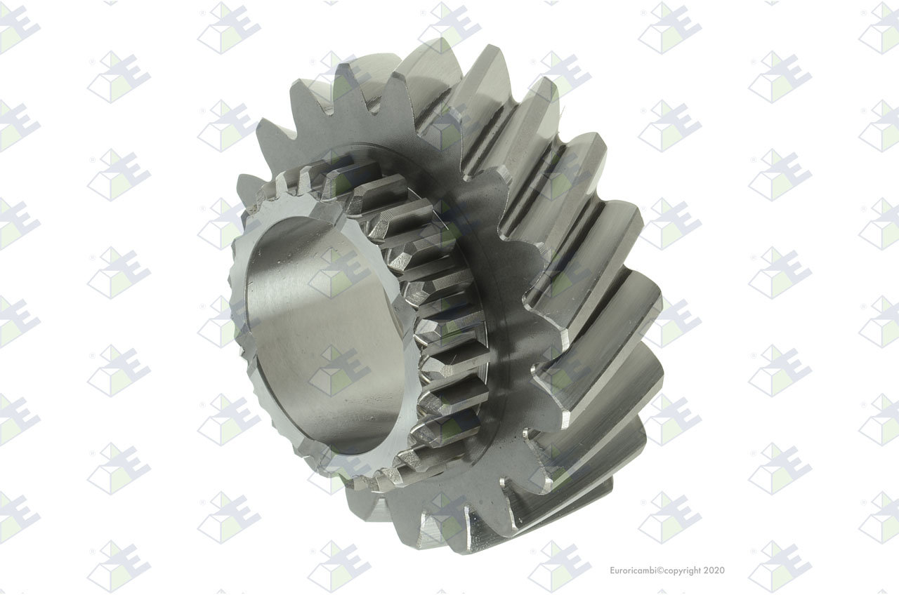 GEAR 4TH SPEED 19 T. suitable to EUROTEC 35001698