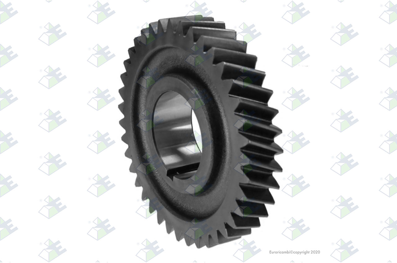 GEAR 4TH SPEED 39 T. suitable to EUROTEC 35002212