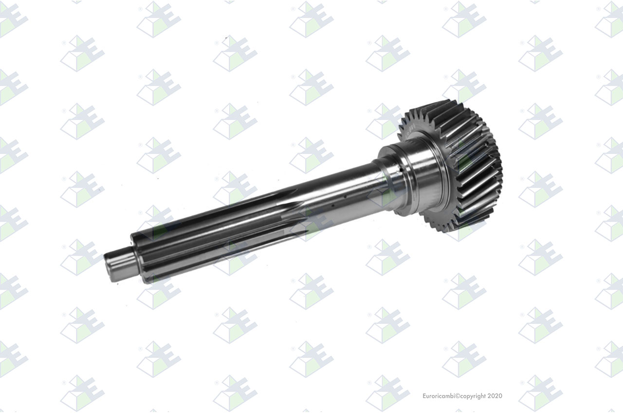 INPUT SHAFT 33 T. suitable to AM GEARS 35451