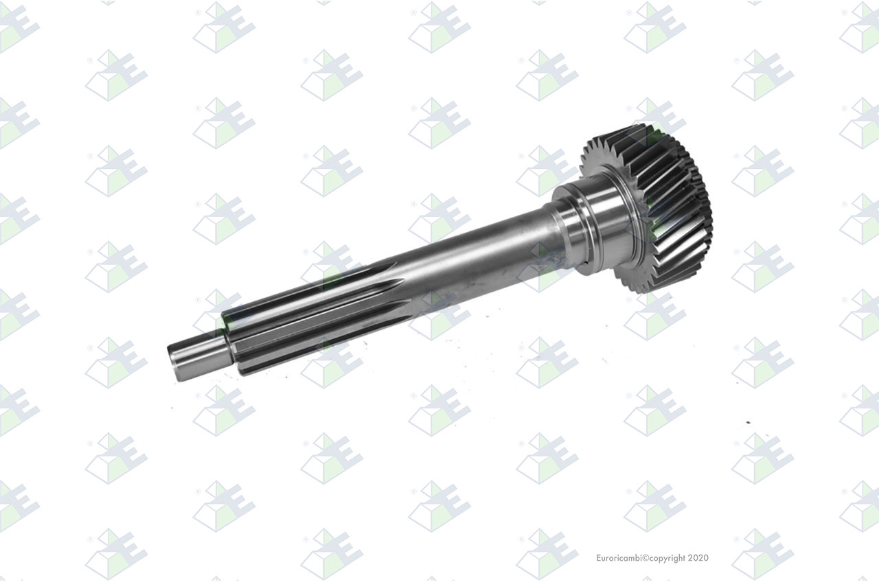 INPUT SHAFT 33 T. suitable to EUROTEC 35002125