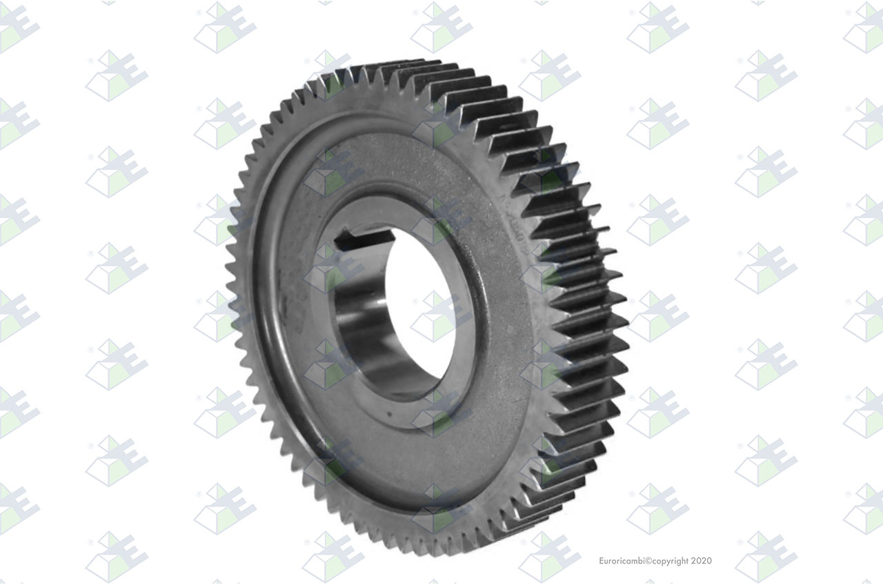 GEAR C/S 69 T. suitable to EUROTEC 35001336