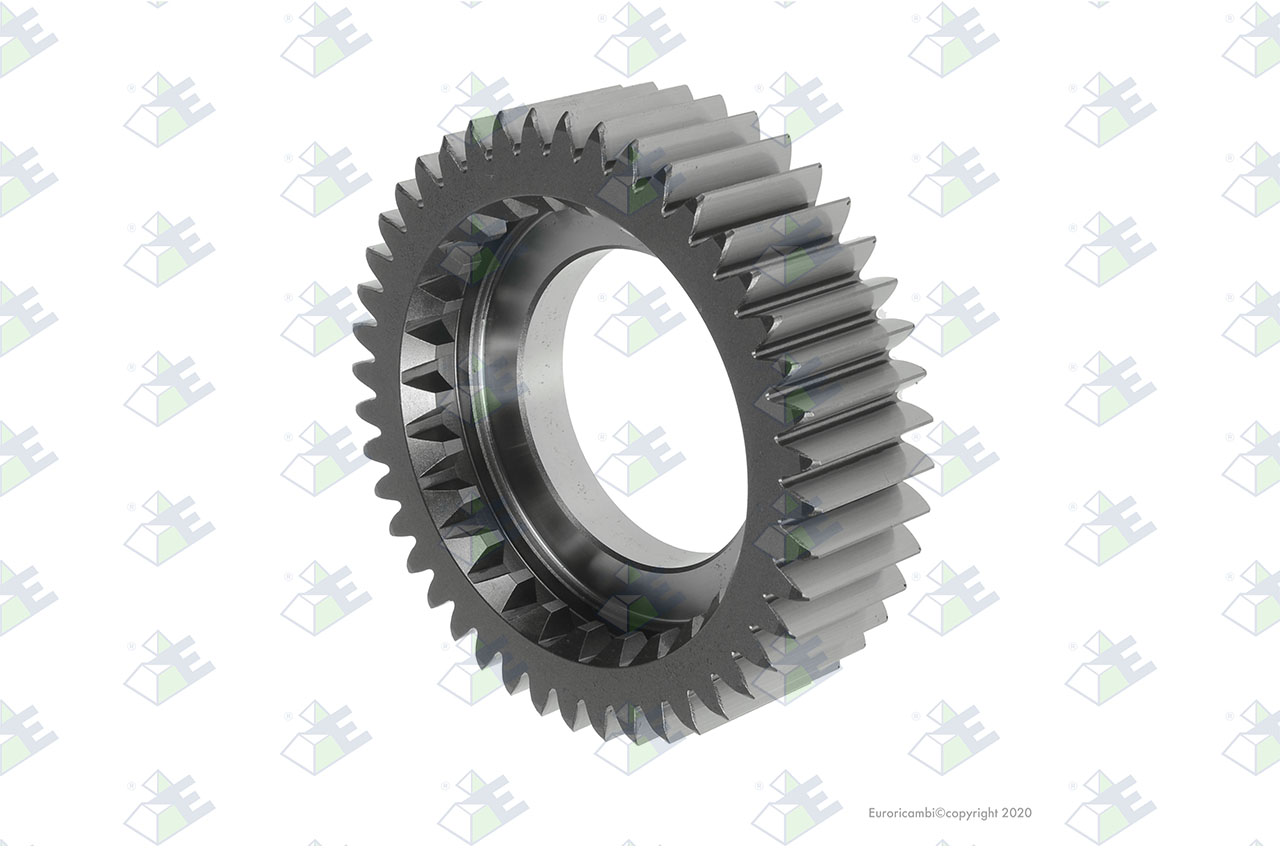 GEAR M/S 44 T. suitable to AM GEARS 35491