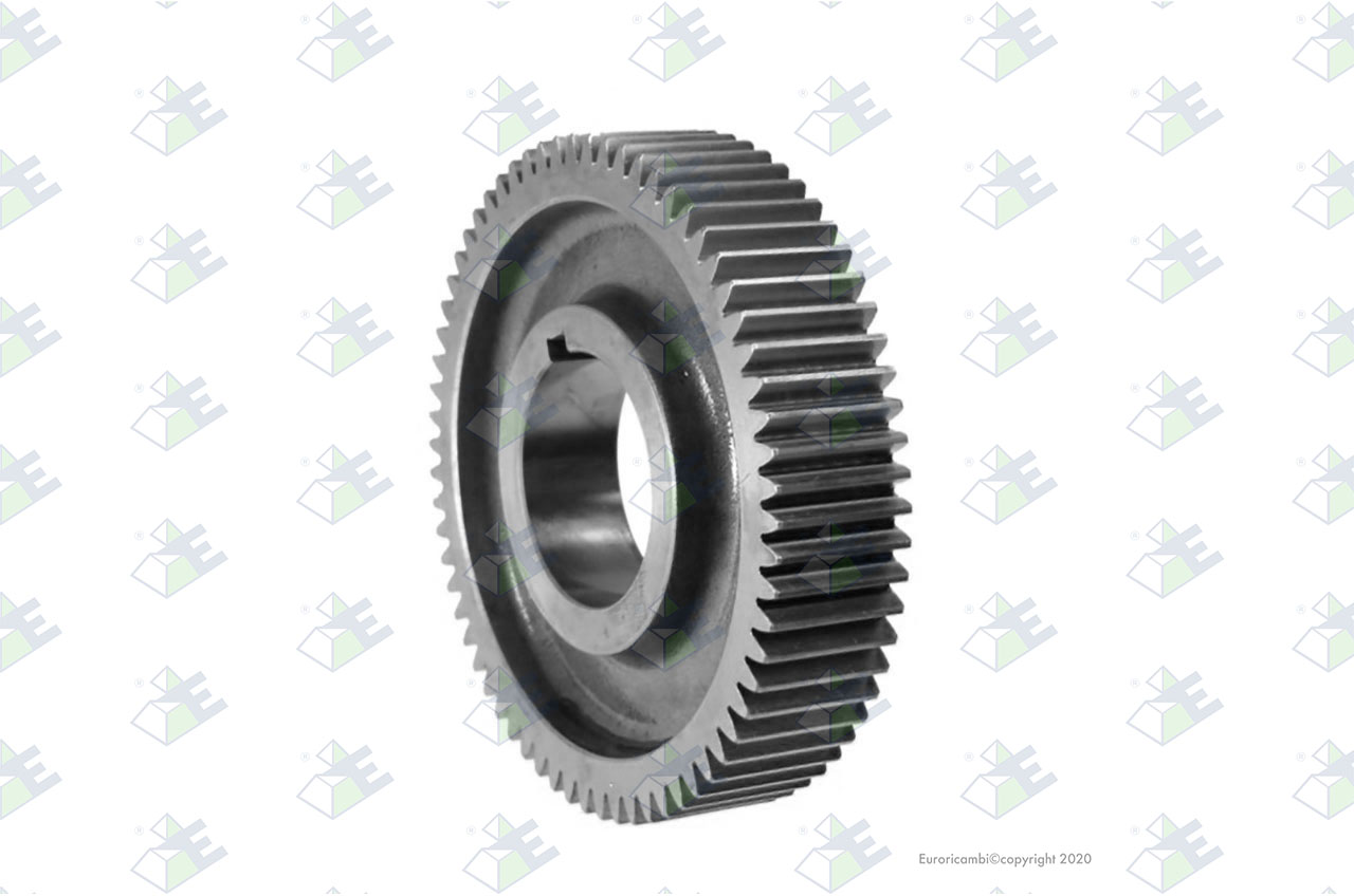 GEAR C/S 66 T. suitable to EUROTEC 35002051