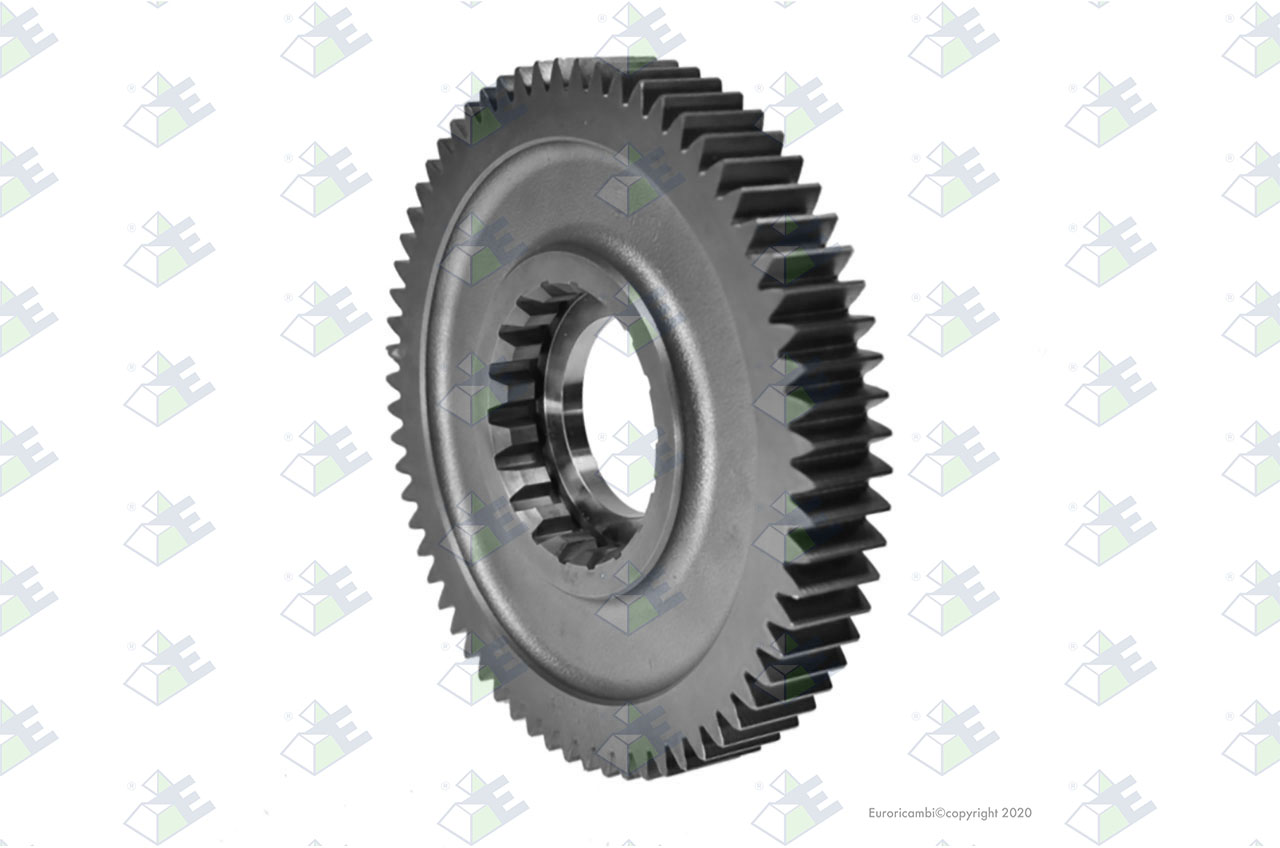 GEAR 1ST SPEED 66 T. suitable to EUROTEC 35002581