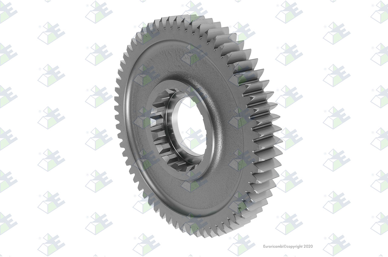 GEAR 1ST SPEED 62 T. suitable to EUROTEC 35002582