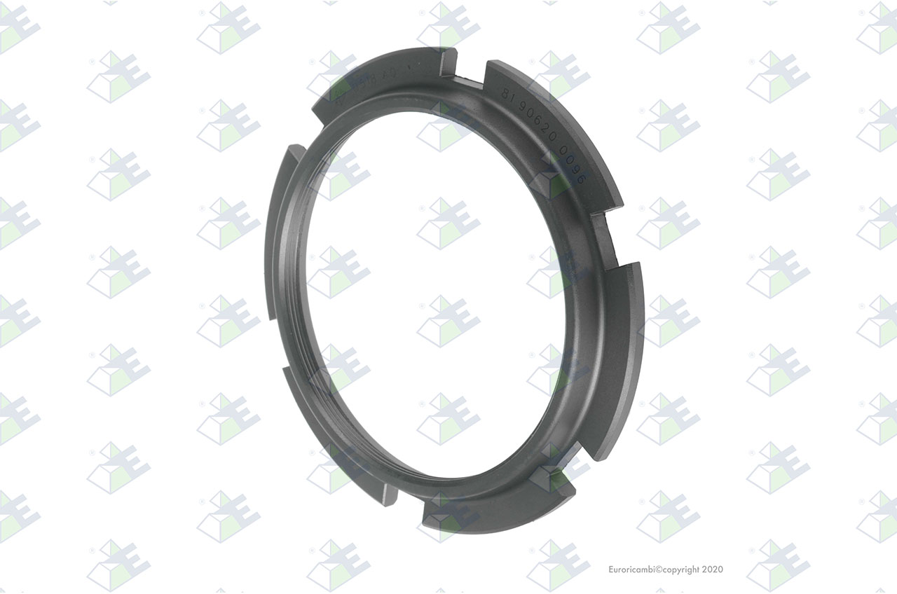 GROOVED NUT M100X1,5 suitable to EUROTEC 56000435