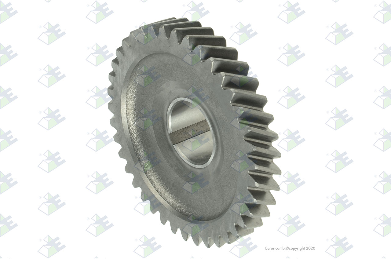 CONSTANT GEAR 39 T. suitable to EUROTEC 60001768