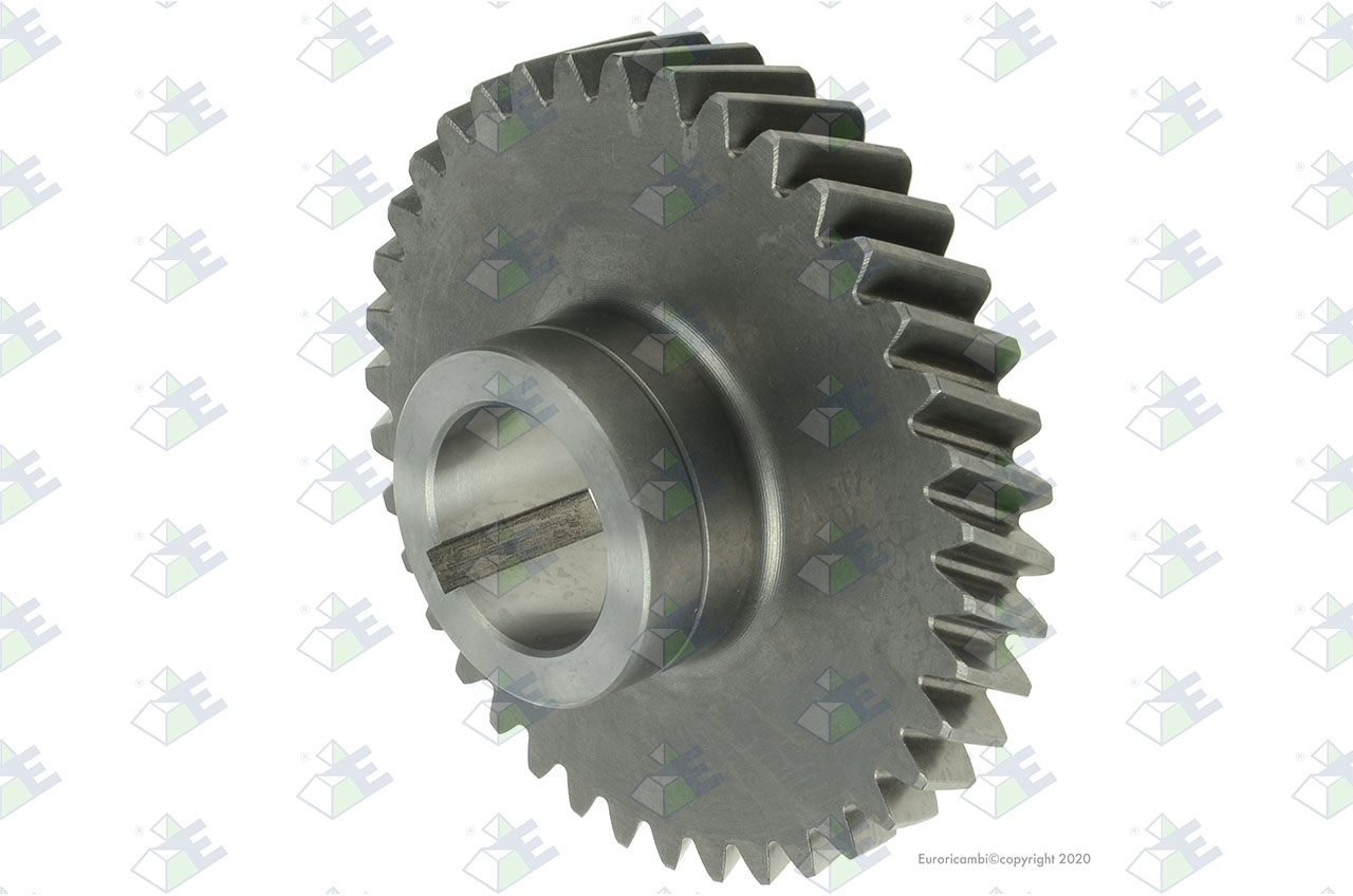 CONSTANT GEAR 38 T. suitable to AM GEARS 72049