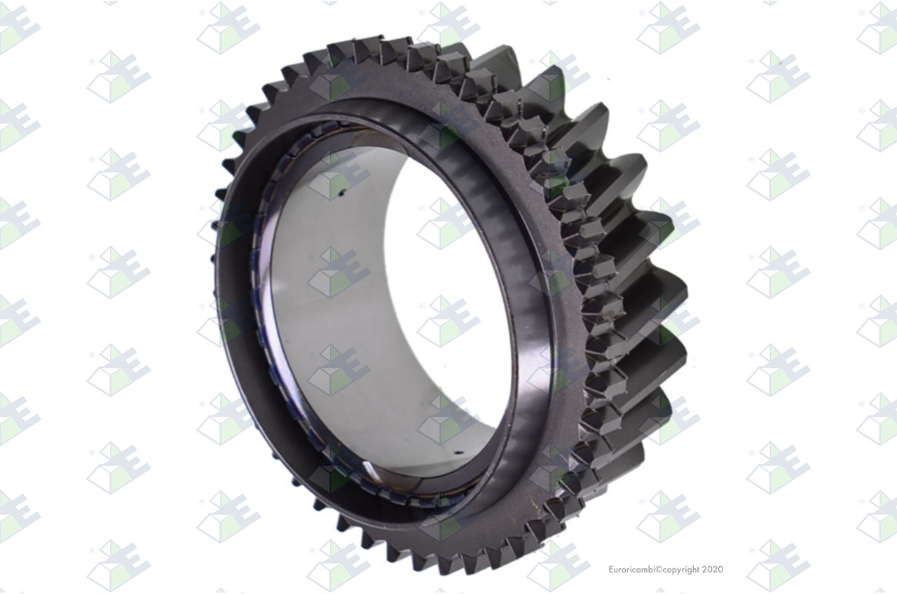 GEAR 4TH SPEED 23 T. suitable to AM GEARS 72043