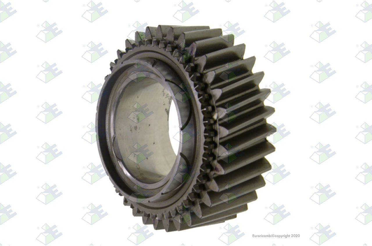 GEAR 1ST SPEED 34 T. suitable to EUROTEC 60002061