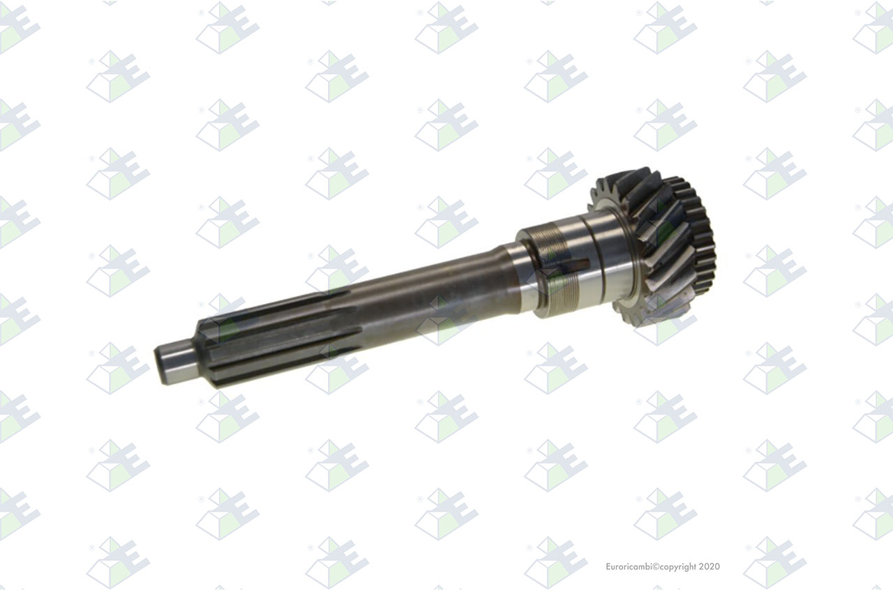INPUT SHAFT 19 T. suitable to EUROTEC 60002095
