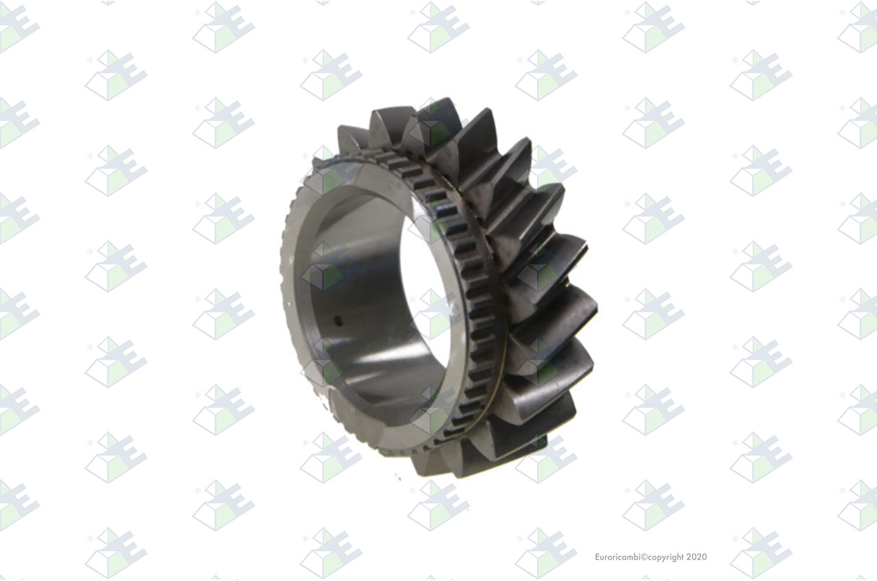 GEAR 4TH SPEED 19 T. suitable to EUROTEC 60002121