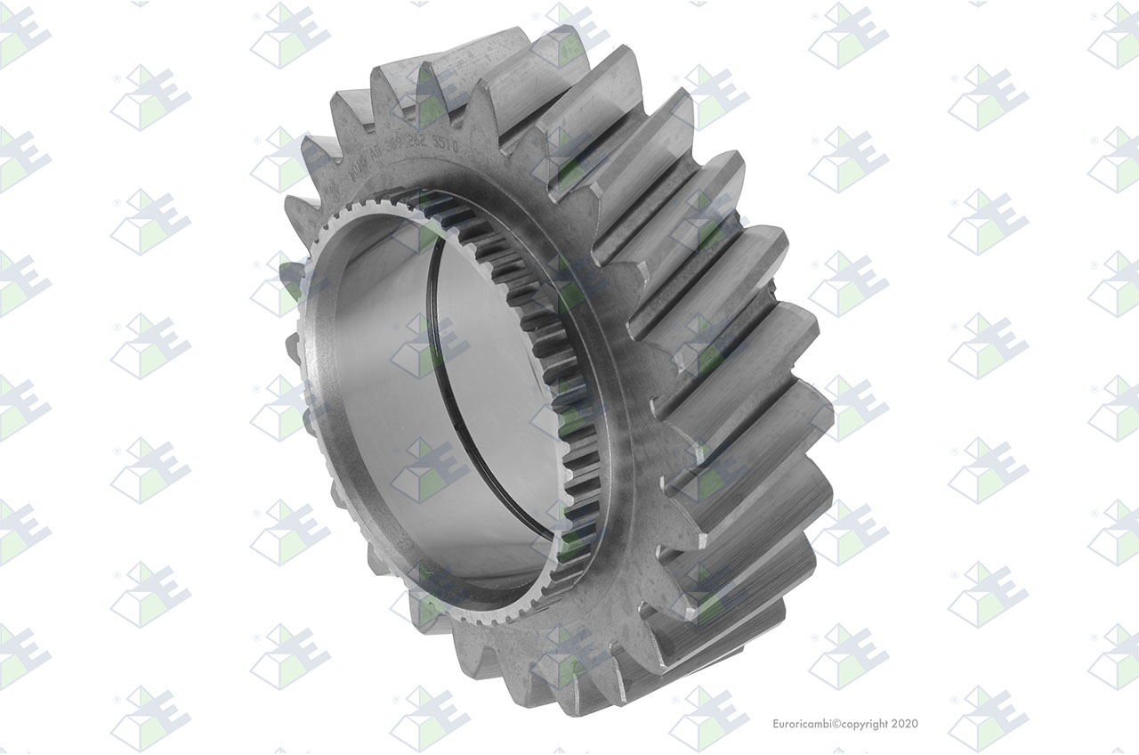 GEAR 4TH SPEED 24 T. suitable to EUROTEC 60002463
