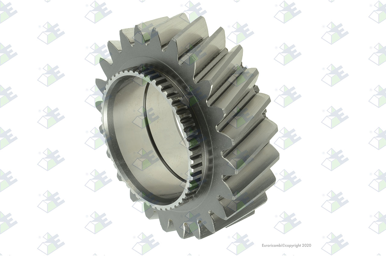 GEAR 4TH SPEED 24 T. suitable to AM GEARS 72399