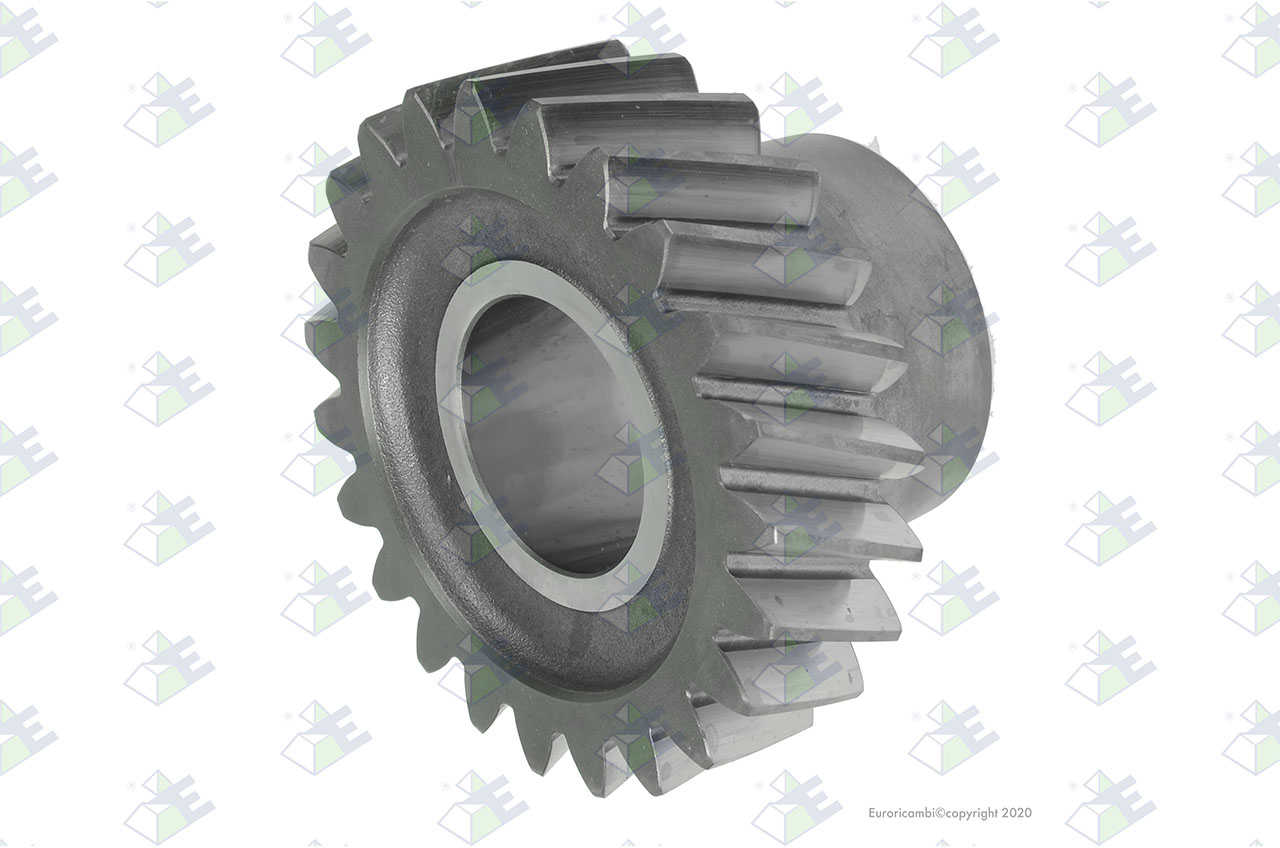 CONSTANT GEAR 23 T. suitable to AM GEARS 72780