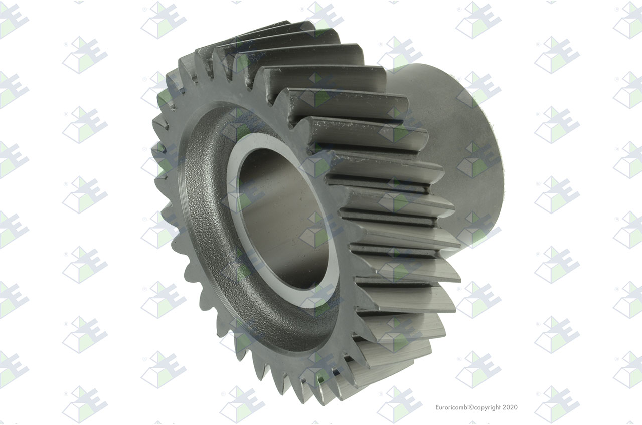 CONSTANT GEAR 31 T. suitable to AM GEARS 72504