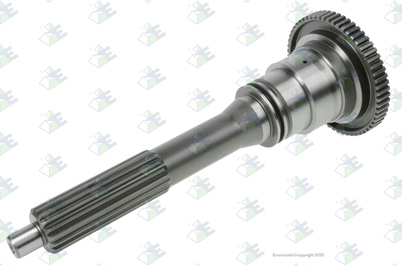 INPUT SHAFT 60 T. suitable to AM GEARS 76229