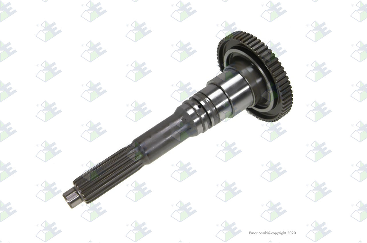 INPUT SHAFT 60 T. suitable to AM GEARS 76286