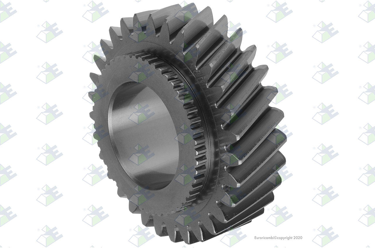 GEAR 3RD SPEED 31 T. suitable to EUROTEC 60004456