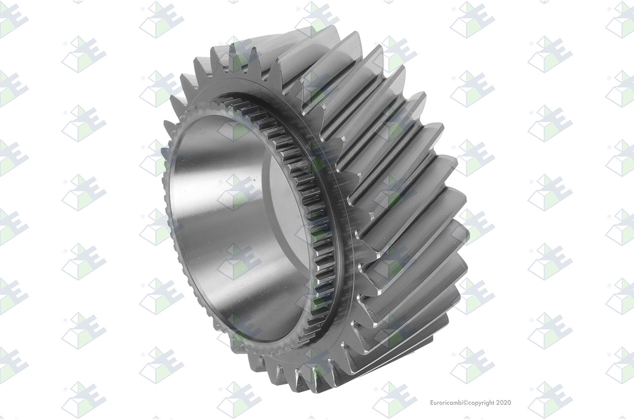GEAR 3RD SPEED 31 T. suitable to EUROTEC 60004875