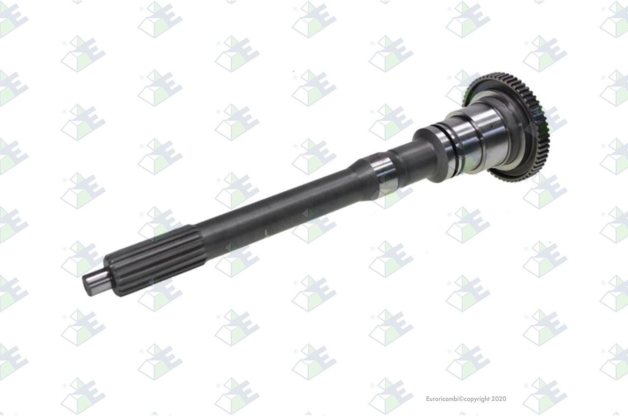 INPUT SHAFT 60 T. suitable to AM GEARS 76296