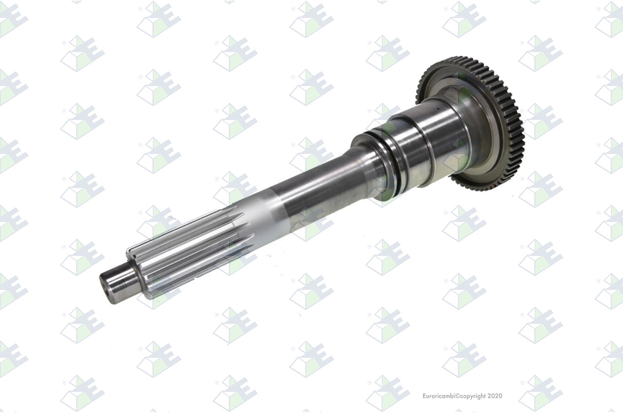 INPUT SHAFT 60 T. suitable to EUROTEC 60005206