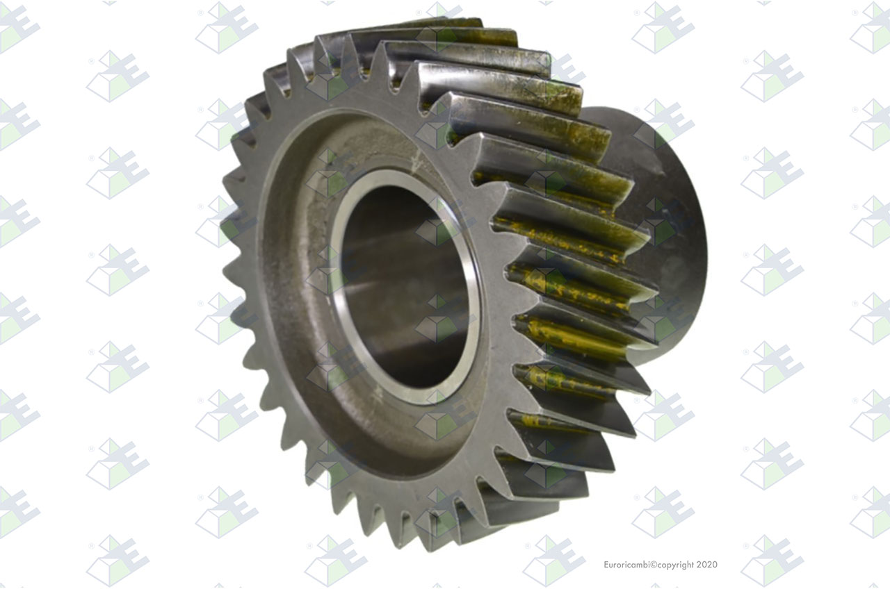CONSTANT GEAR 31 T. suitable to EUROTEC 60006432