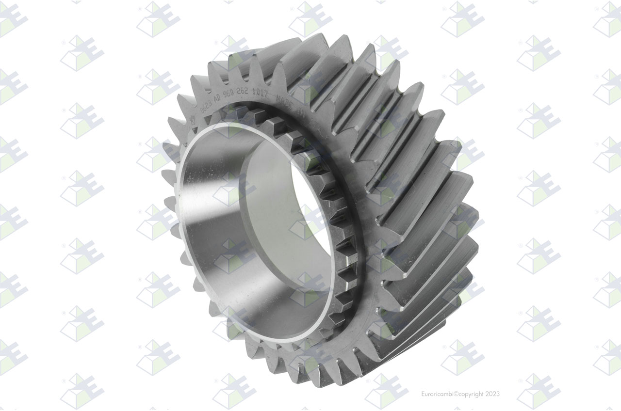 GEAR 3RD SPEED 31 T. suitable to EUROTEC 60006769