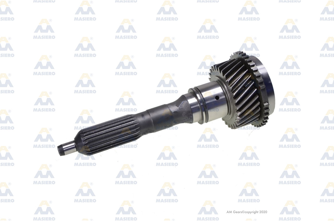 INPUT SHAFT 21/39/29 T. suitable to EURORICAMBI 83530040