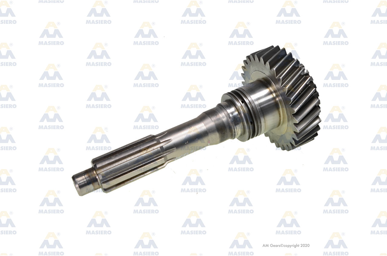 INPUT SHAFT 10/26/29 T. suitable to EURORICAMBI 44530049