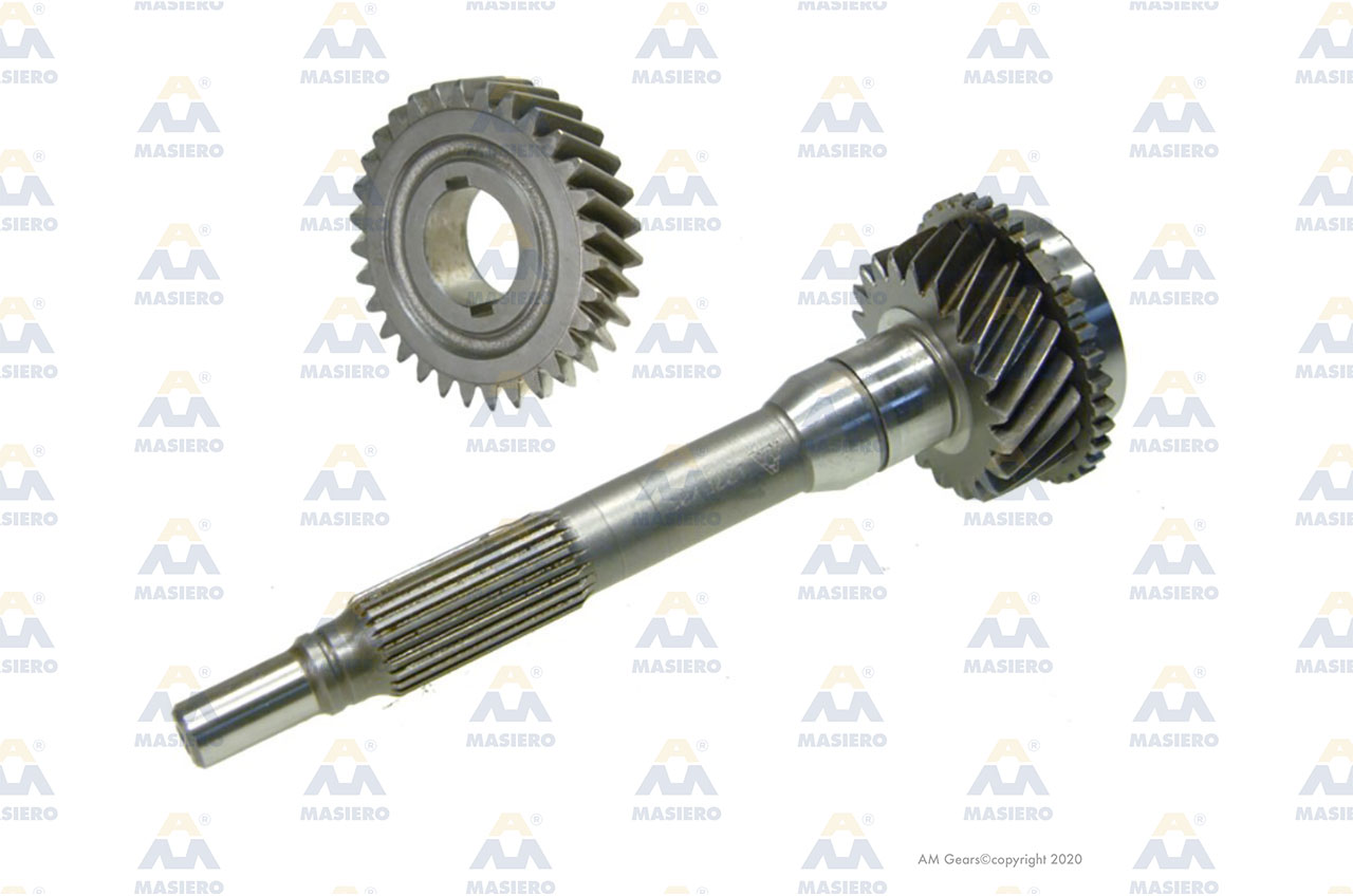 KIT SHAFT + SEC.GEAR suitable to EURORICAMBI 63530004