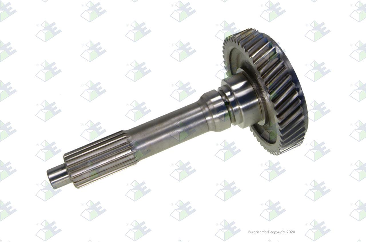 INPUT SHAFT 49 T. suitable to EUROTEC 70000707