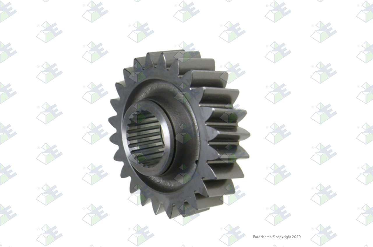 GEAR 24 T. suitable to AM GEARS 61274