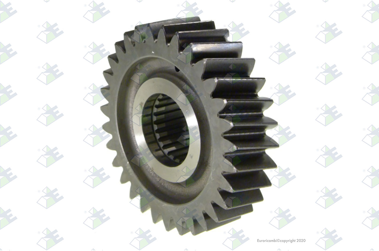 GEAR 31 T. suitable to EUROTEC 74001857