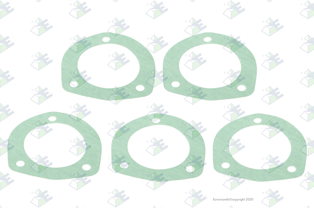 GASKET T.0,30 MM suitable to EUROTEC 74000834