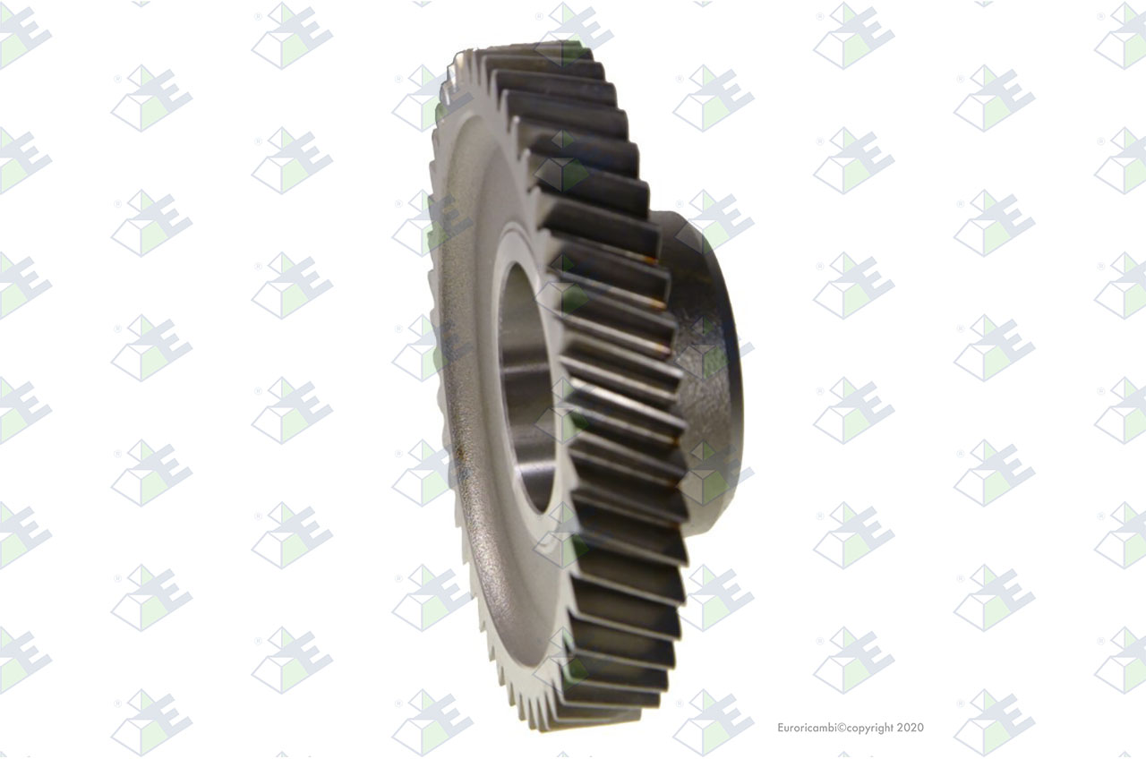 CONSTANT GEAR 46 T. suitable to AM GEARS 61300