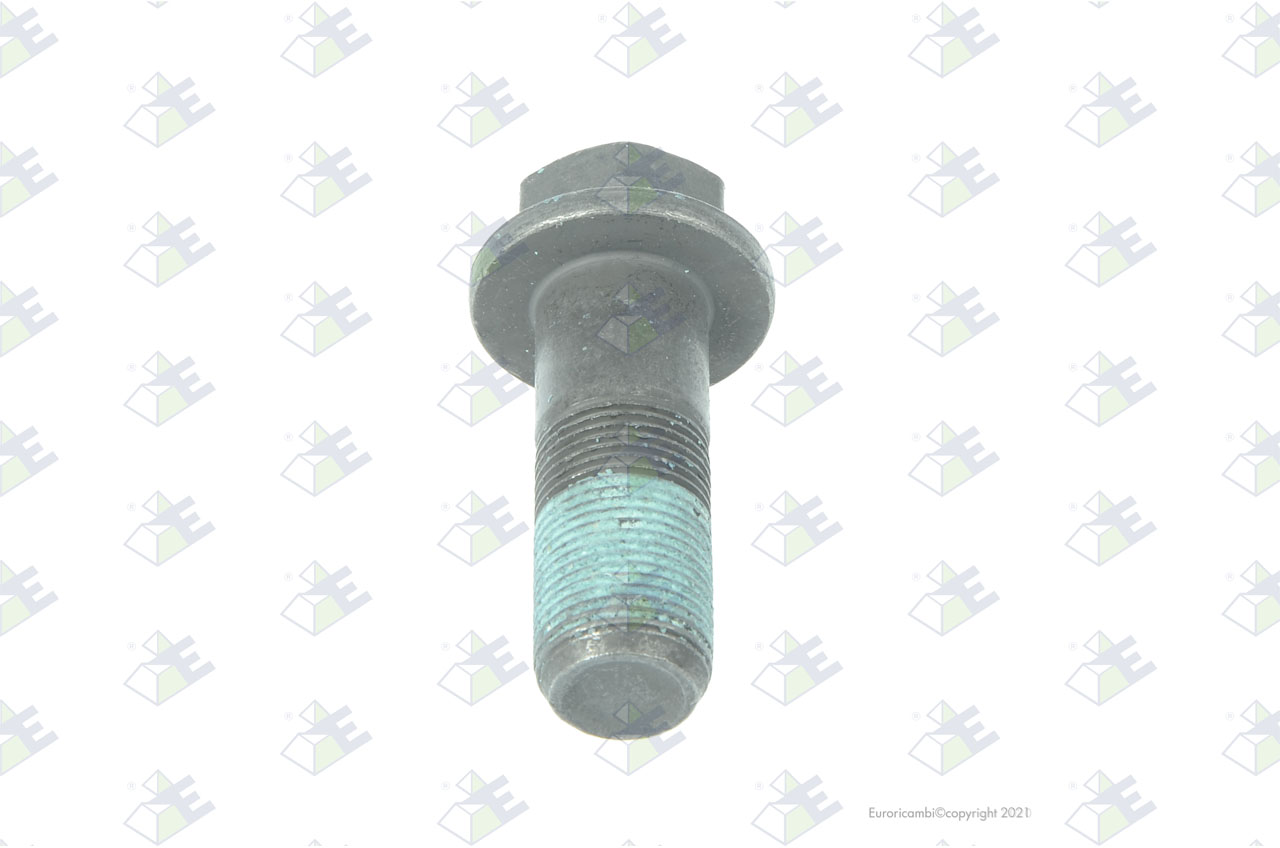 SCREW T.E.F. M20X1,5X55 suitable to AM GEARS 14246