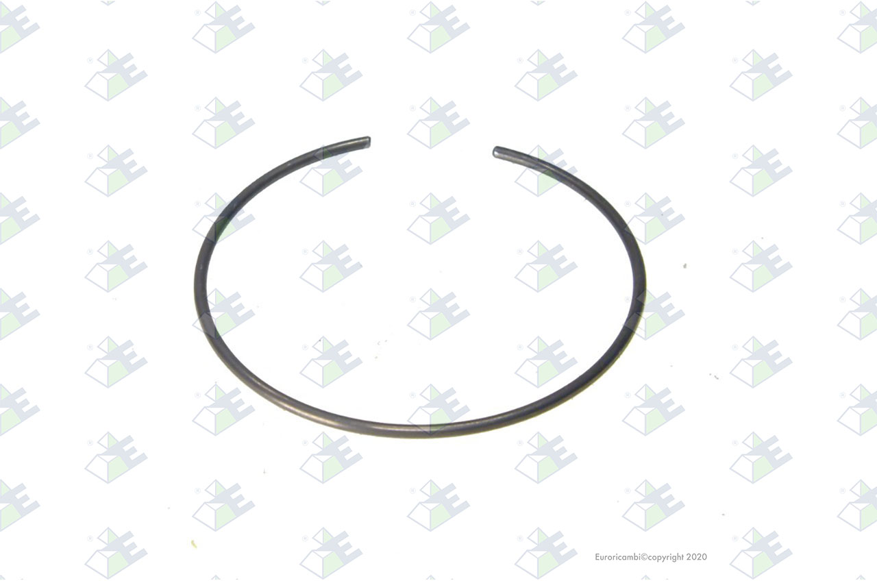 ELASTIC RING suitable to EUROTEC 74001718