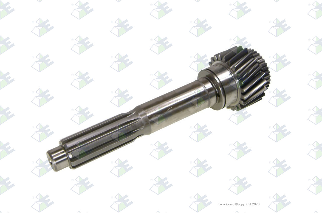 INPUT SHAFT 22 T. suitable to AM GEARS 60454