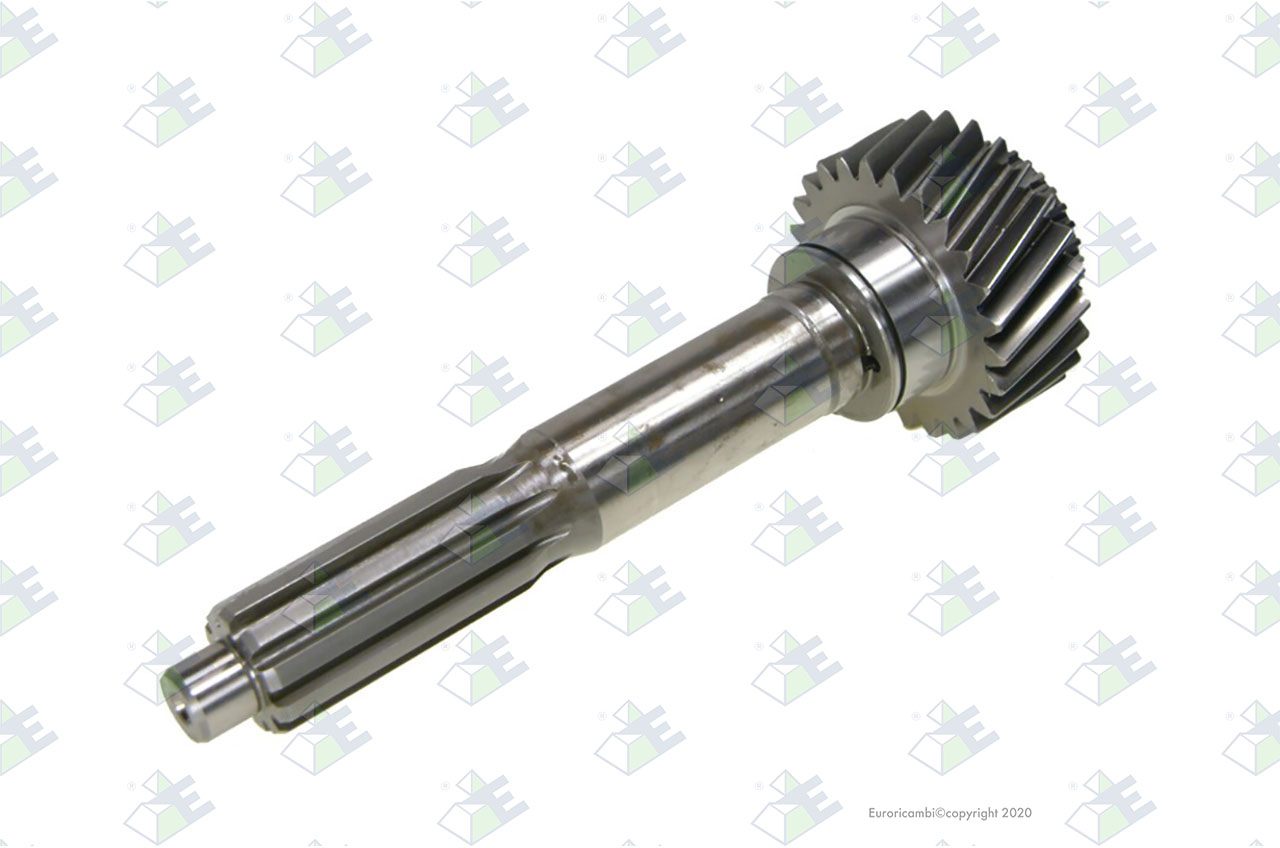 INPUT SHAFT 25 T. suitable to AM GEARS 60455