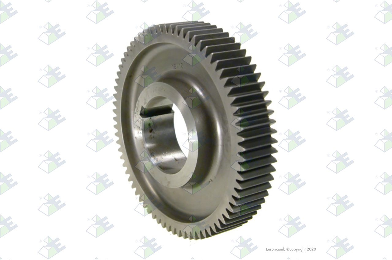 GEAR O/D C/S 73 T. suitable to EUROTEC 81002186