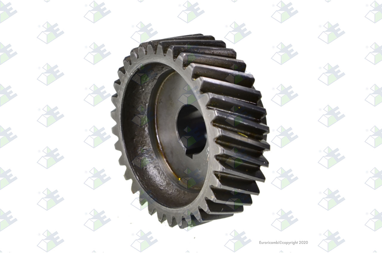 TIMING GEAR 33 T. suitable to EUROTEC 88000897