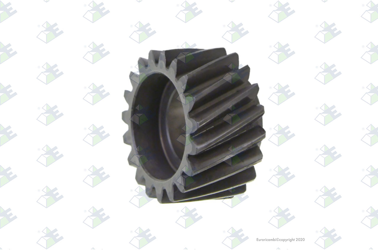PUMP GEAR 19 T. suitable to EUROTEC 88001052