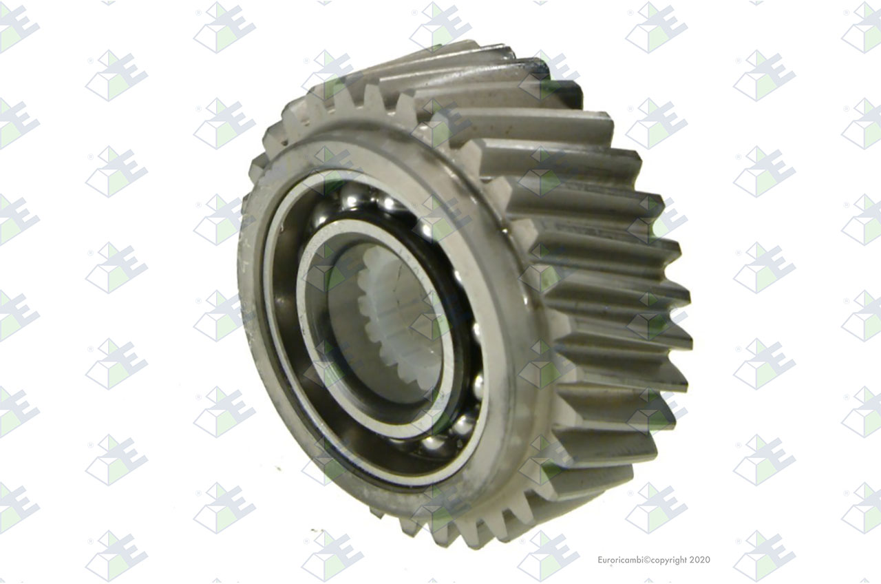GEAR 31 T. suitable to AM GEARS 61464