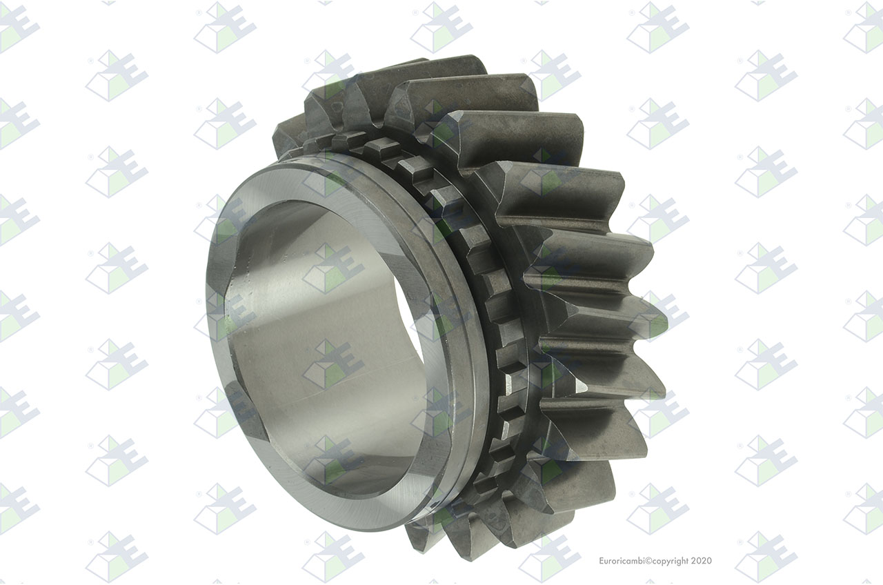 GEAR 1ST SPEED 21 T. suitable to EUROTEC 88000648