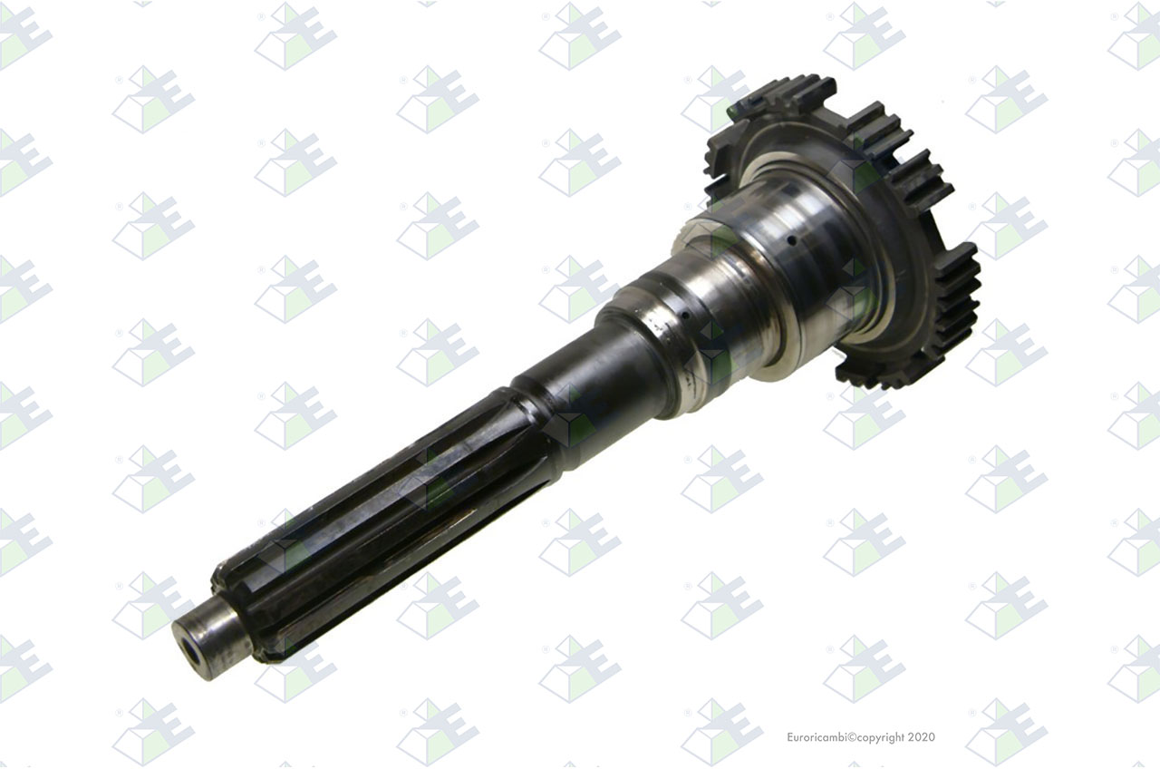 INPUT SHAFT 48 T. suitable to EUROTEC 88001131