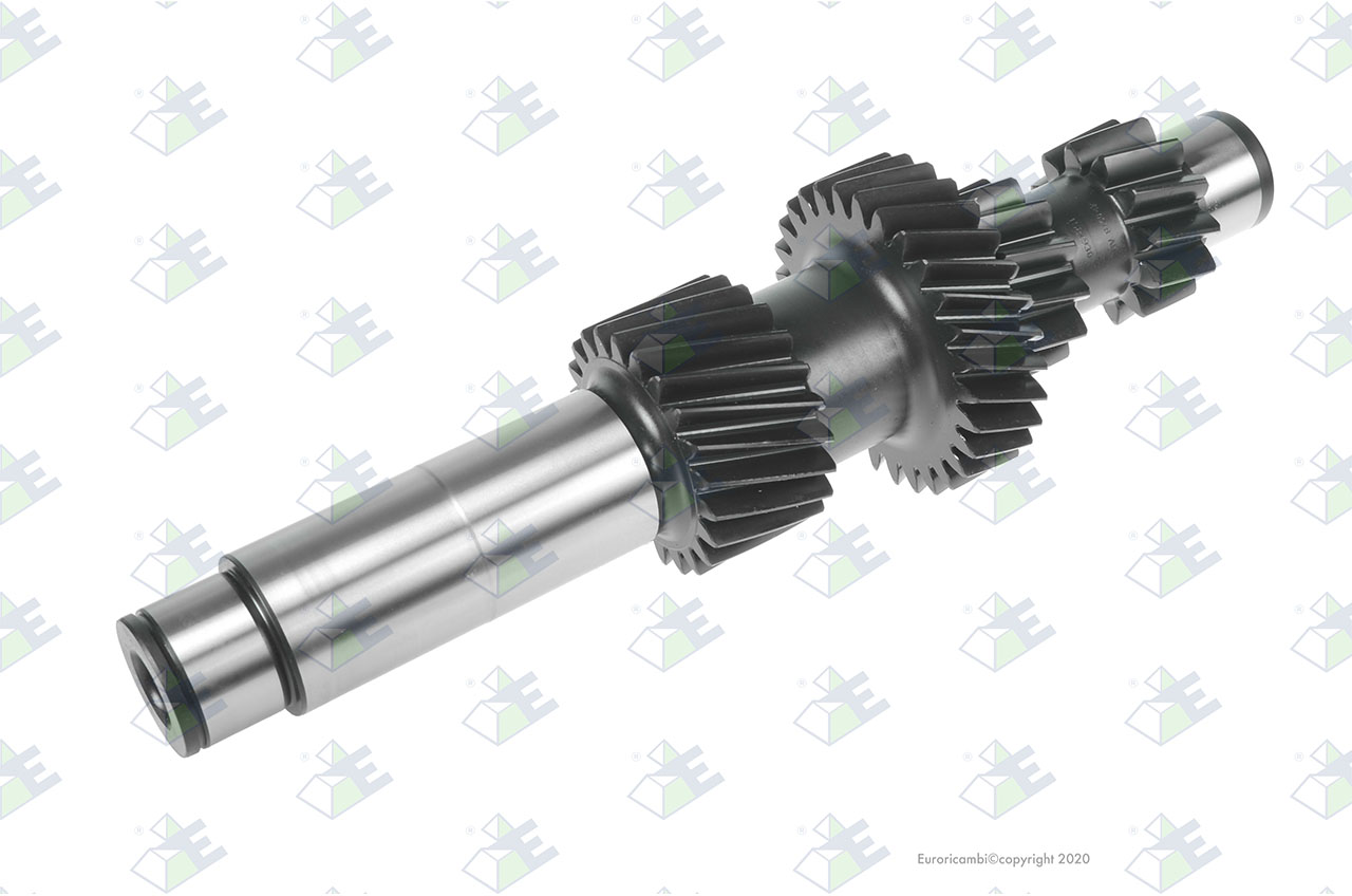 COUNTERSHAFT 12/12/29/22T suitable to AM GEARS 61049